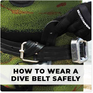 dive belt